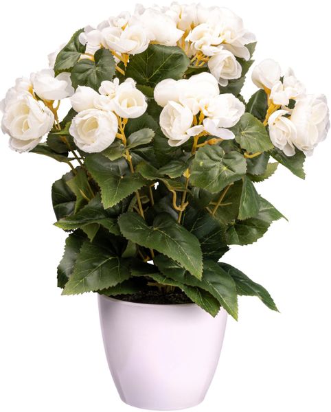 Kunstblume Begonienbusch Begonie, Creativ green, Höhe günstig online kaufen