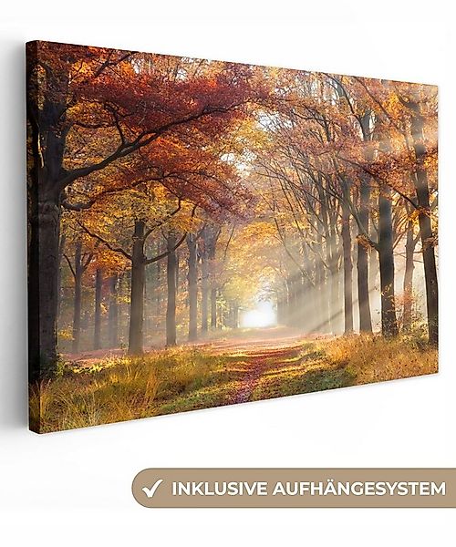 OneMillionCanvasses® Leinwandbild Herbst - Wald - Baum, Fotodruck (1 St), L günstig online kaufen