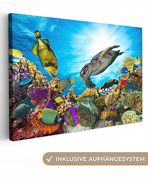 OneMillionCanvasses® Leinwandbild Schildkröte - Meer - günstig online kaufen