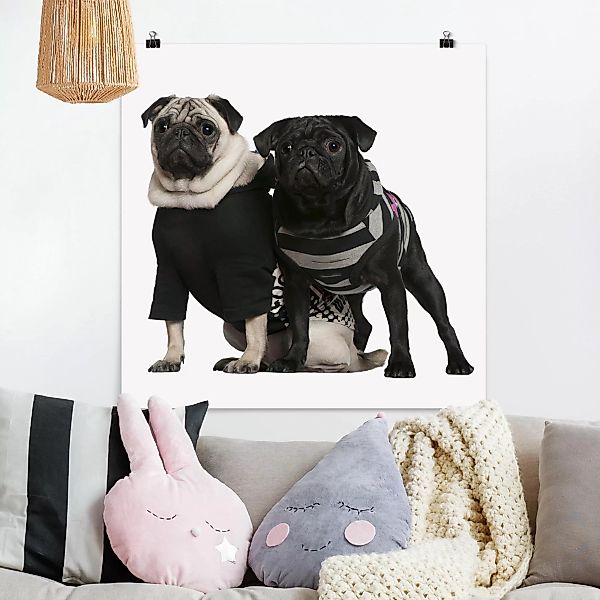 Poster - Quadrat Mops Fashion günstig online kaufen