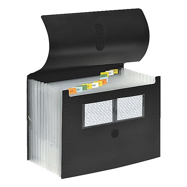 FOLDERSYS Fächermappe, 12 Fächer (dehnbar) günstig online kaufen