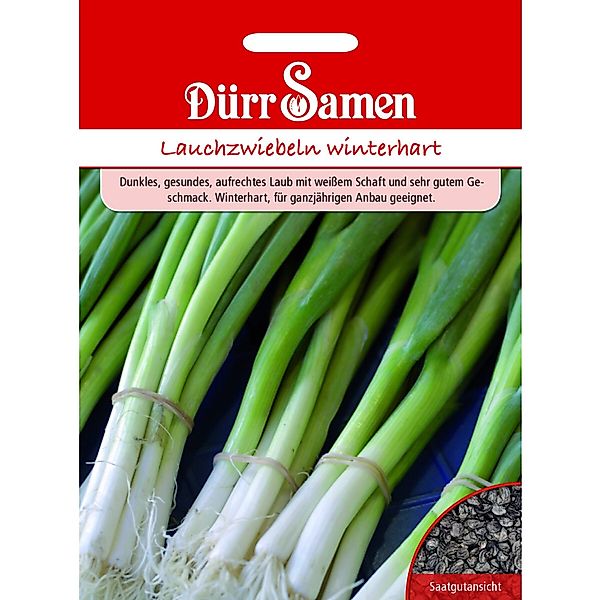 Dürr Samen Lauchzwiebeln Winterhart Saatgut günstig online kaufen