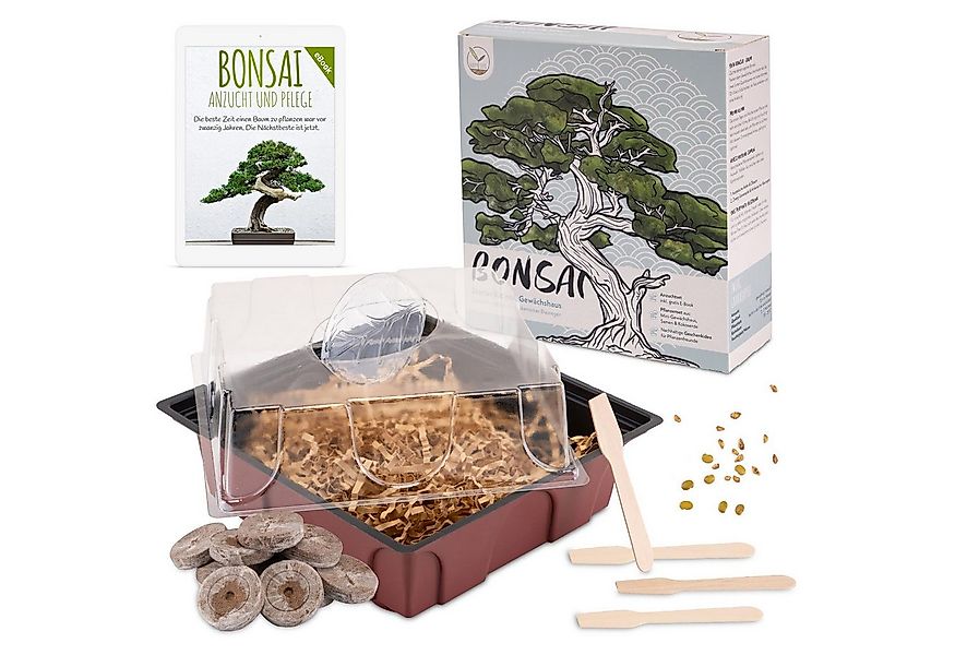 HappySeed Blumensamen Bonsai Starter Kit inkl. eBook (Afr. Blauregen + Zwer günstig online kaufen