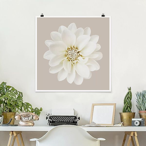 Poster Dahlie Weiß Taupe Pastel Zentriert günstig online kaufen