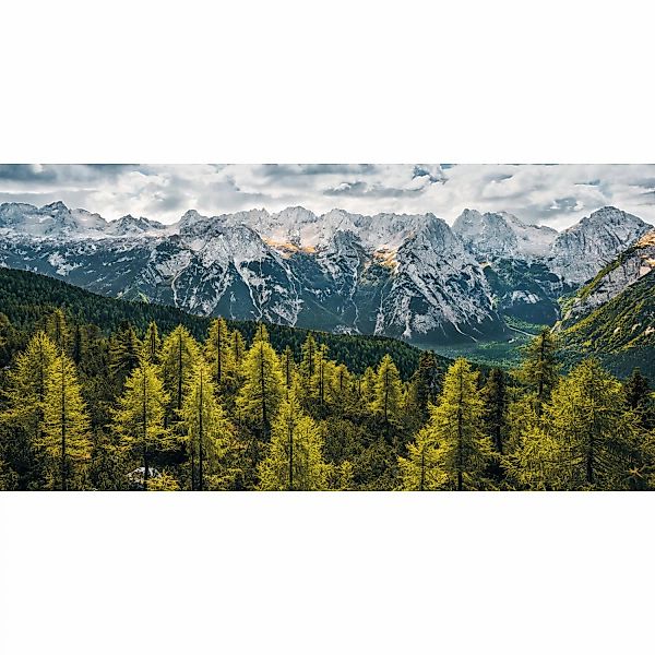 Sanders & Sanders Poster Landschaft Grün und Grau 200 x 100 cm 612570 günstig online kaufen