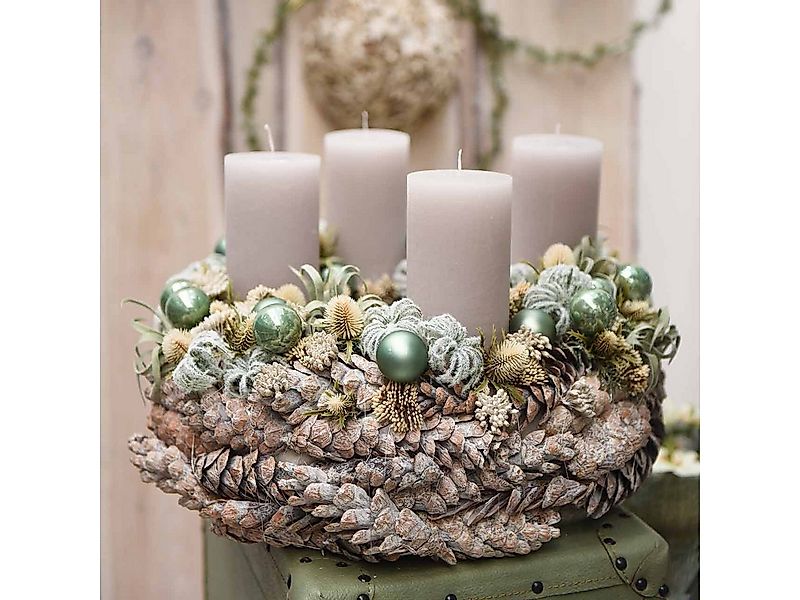 Trockenblume Weißgewaschene Strobus Zapfen 15-20cm, Deko Kiefernzapfen für, günstig online kaufen