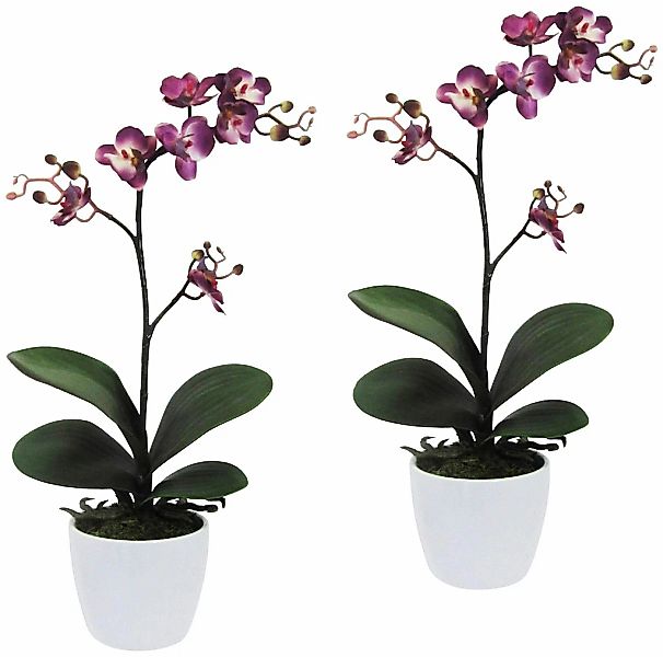 Creativ green Kunstpflanze "Orchidee Phalaenopsis" im Keramiktopf günstig online kaufen