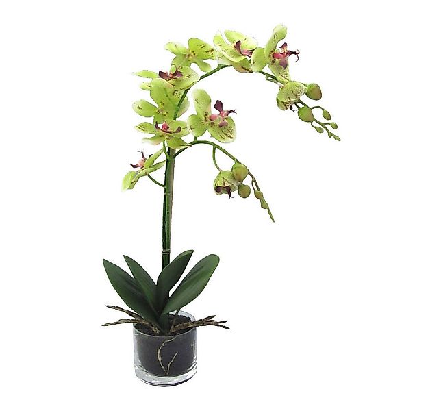 Kunstorchidee Kunstblume Phalaenopsis Orchidee im runden Glas. 2 Triebe. ca günstig online kaufen