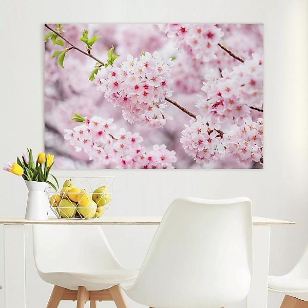 Leinwandbild Japanische Kirschblüten günstig online kaufen