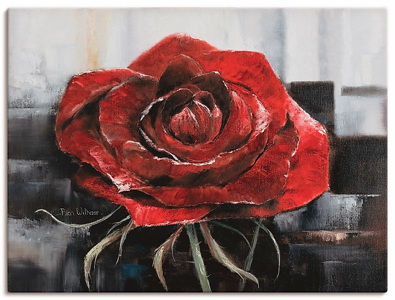 Artland Leinwandbild "Blühende rote Rose" Blumen 1 Stk. tlg. auf Holzrahmen günstig online kaufen