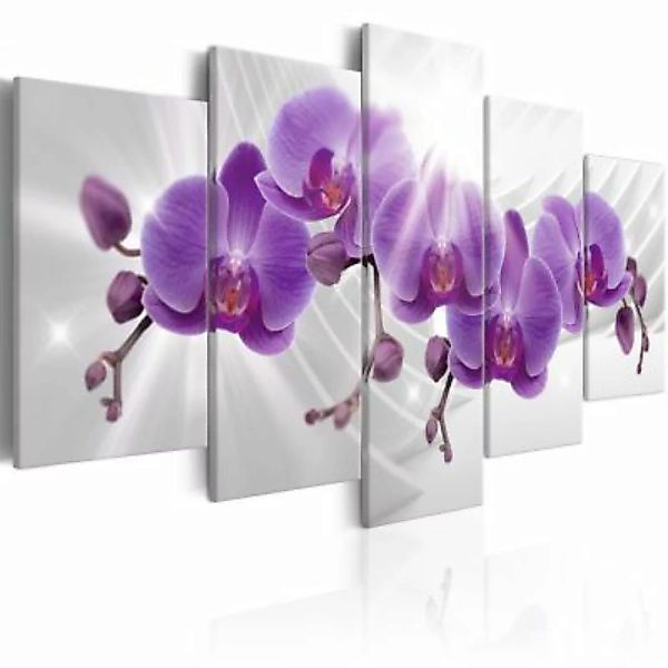 artgeist Wandbild Abstract Garden: Purple Orchis mehrfarbig Gr. 200 x 100 günstig online kaufen