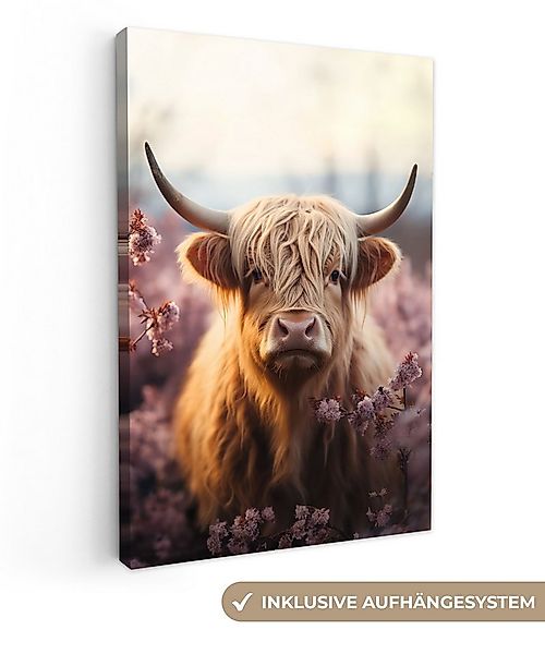 OneMillionCanvasses® Leinwandbild Schottischer Highlander - Tierporträt - B günstig online kaufen