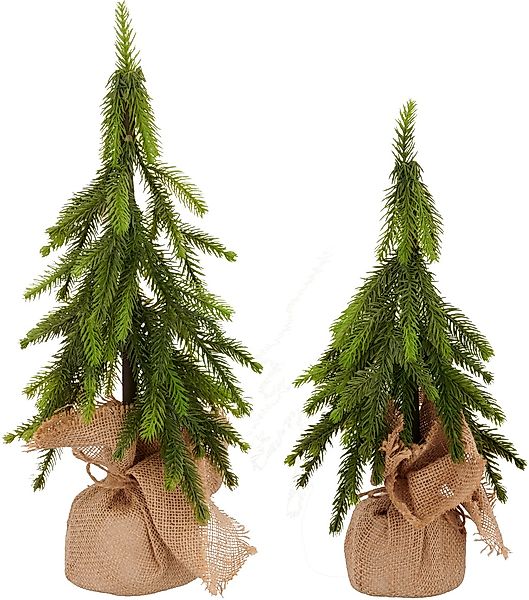 Creativ green Winterliche Kunstpflanze "Tannenbäumchen" im Set aus 2 Größen günstig online kaufen