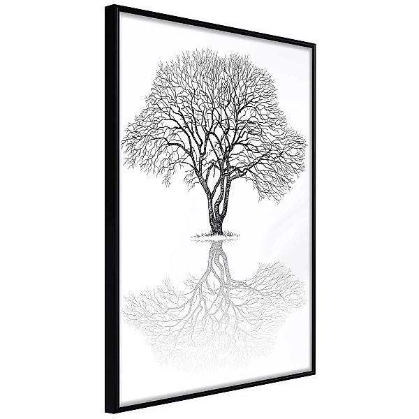 Poster - Roots Or Treetop? günstig online kaufen
