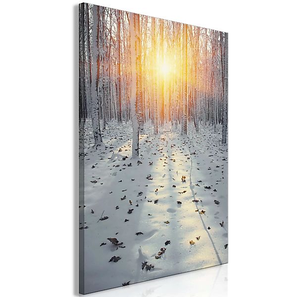 Wandbild - Winter Afternoon (1 Part) Vertical günstig online kaufen