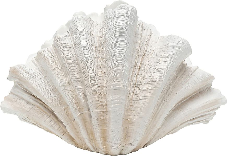 Kare Design Dekovase Deko Vase Concha günstig online kaufen