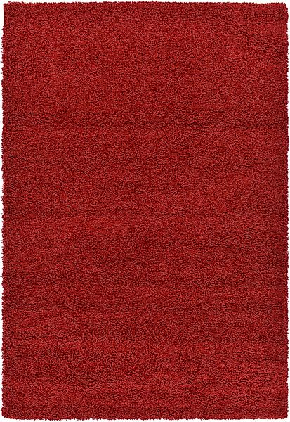 Myflair Möbel & Accessoires Hochflor-Teppich »Shaggy Shag, LAGERRÄUMUNG!«, günstig online kaufen
