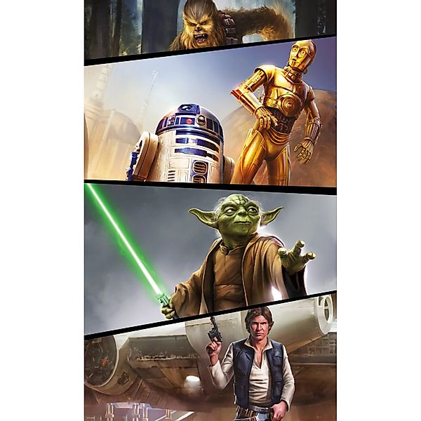 Komar Fototapete Vlies Star Wars Moments Rebels  120 x 200 cm günstig online kaufen