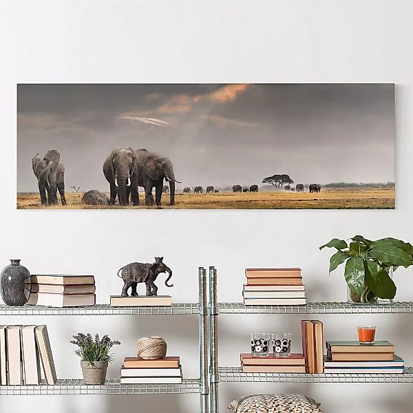 Leinwandbild Afrika - Panorama Elefanten der Savanne günstig online kaufen