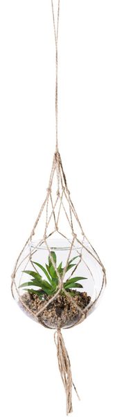 Creativ green Kunstpflanze "Sukkulenten" mit Makramee-Aufhängung günstig online kaufen