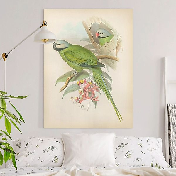 Leinwandbild Vintage Illustration Tropische Vögel II günstig online kaufen