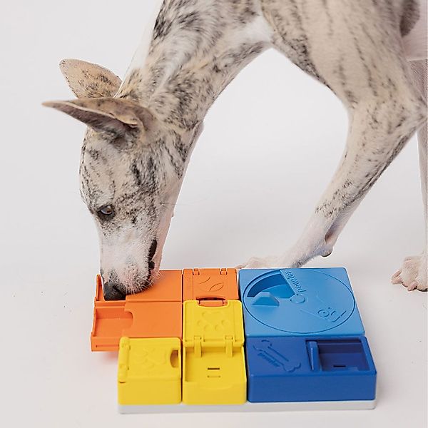 Tier-Intelligenzspielzeug Pawzler Intelligentes Schnüffel Hundespielzeug, B günstig online kaufen