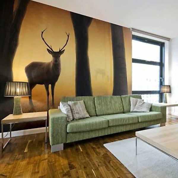 artgeist Fototapete Deer in his natural habitat orange-kombi Gr. 350 x 270 günstig online kaufen