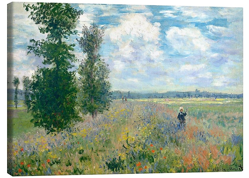 Posterlounge Wandbild Mohnfelder in der Nähe günstig online kaufen