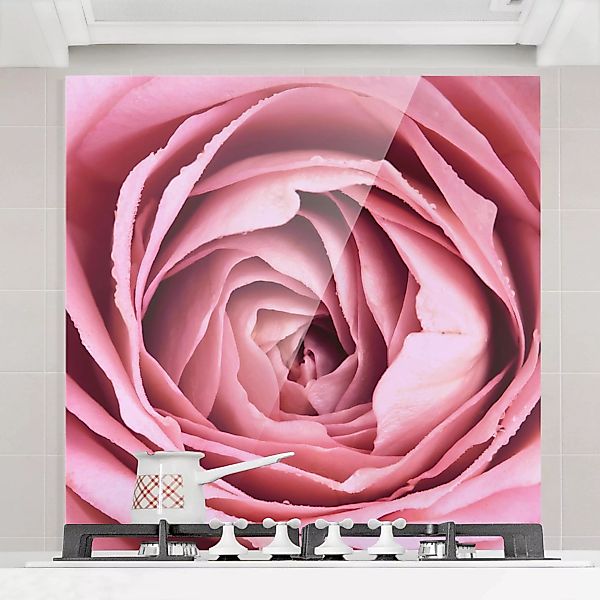 Spritzschutz Rosa Rosenblüte günstig online kaufen