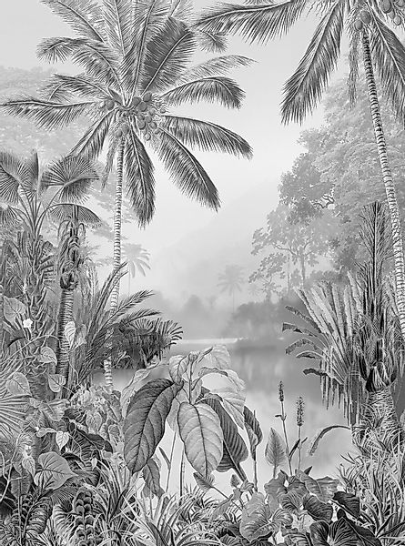 Komar Fototapete Vlies Lac Tropical Black & White  200 x 280 cm günstig online kaufen