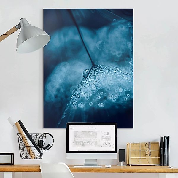 Leinwandbild - Hochformat Blaue Pusteblume im Regen günstig online kaufen