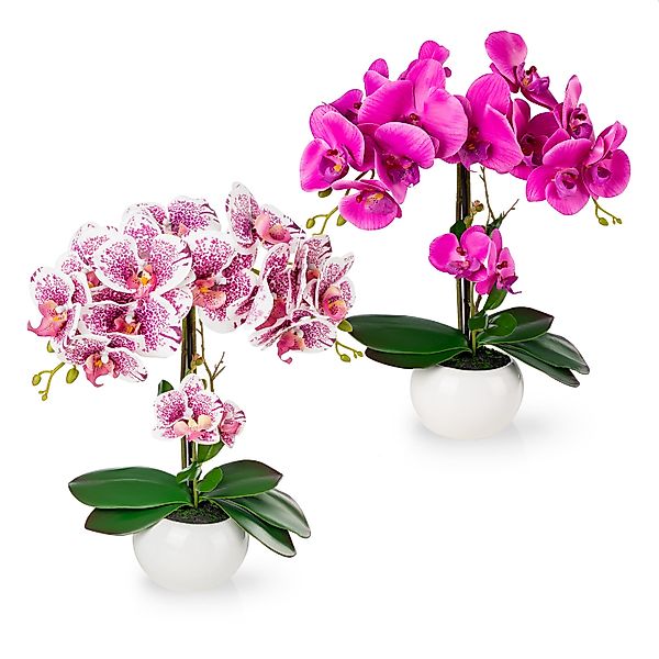 Kunstorchidee PASCH® Orchidee künstlich wie echt günstig online kaufen