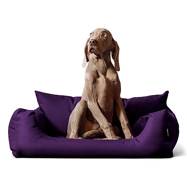 tierlando® Tierbett NEMO Hundebett Hundesofa S günstig online kaufen