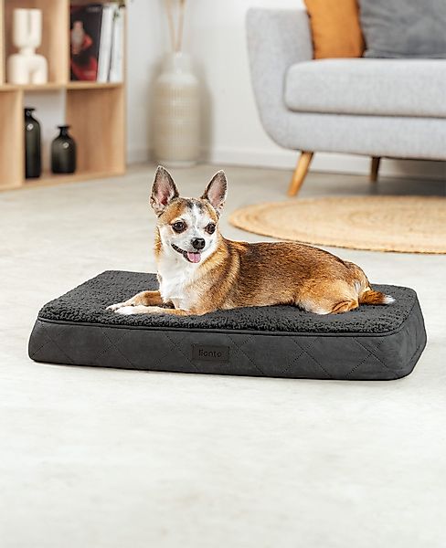 lionto Tierkissen lionto orthopädisches Hundebett, für günstig online kaufen