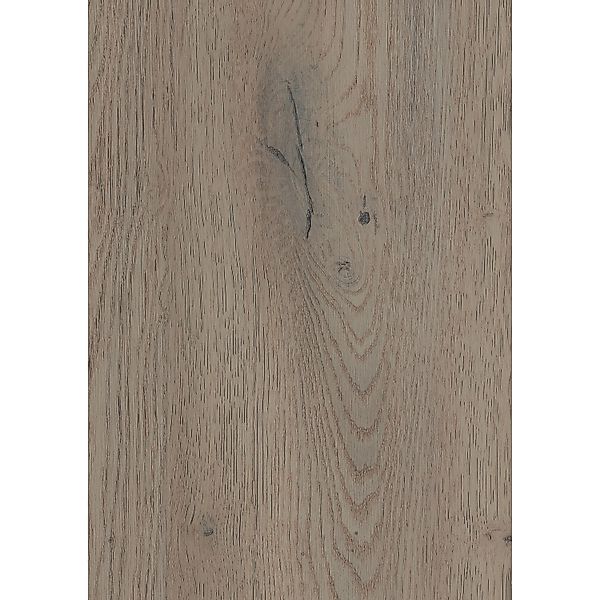 Laminatboden Mont Blanc Oak Breitdiele Eiche günstig online kaufen