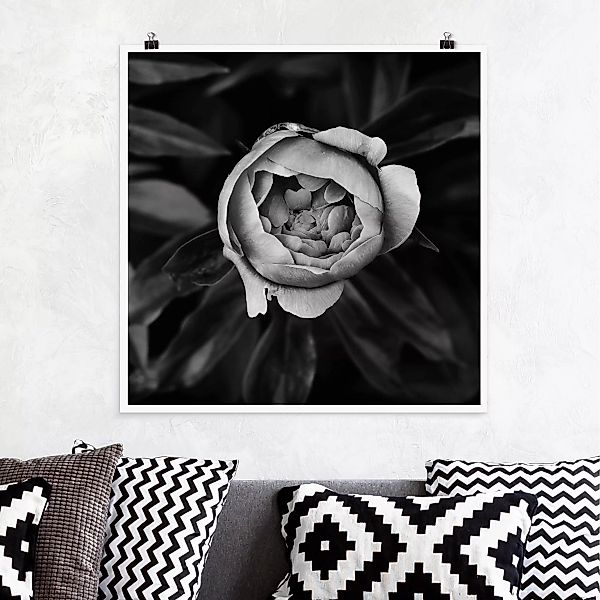 Poster Blumen - Quadrat Pfingstrosenblüte vor Blättern Schwarz Weiß günstig online kaufen