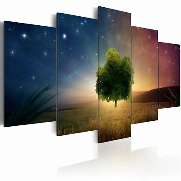 artgeist Wandbild Starry Nights mehrfarbig Gr. 200 x 100 günstig online kaufen