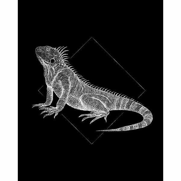 Komar Poster Iguana Black Tiere B/L: ca. 40x50 cm günstig online kaufen