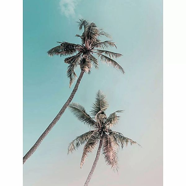 Komar Poster Miami Palms Palmen B/L: ca. 30x40 cm günstig online kaufen