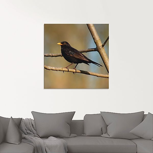 Artland Glasbild »Amsel«, Vögel, (1 St.), in verschiedenen Größen günstig online kaufen