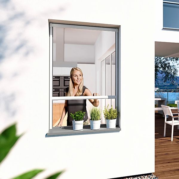 Windhager Insektenschutzrollo "PLUS" transparent BxH: 100x160 cm günstig online kaufen