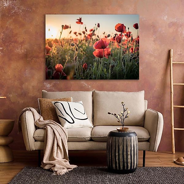 queence XXL-Wandbild "Akustikbild Mohn Mohnfeld bei Sonnenaufgang" günstig online kaufen