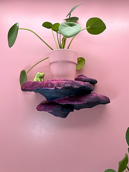 Roomberry Deko-Wandregal Baumschwamm Pilz Wandregal-Set, Pilzregal-Set, günstig online kaufen