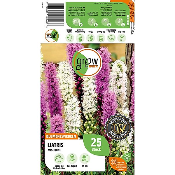 GROW by OBI Liatris Mischung Höhe ca. 75 cm Liatris spicata günstig online kaufen