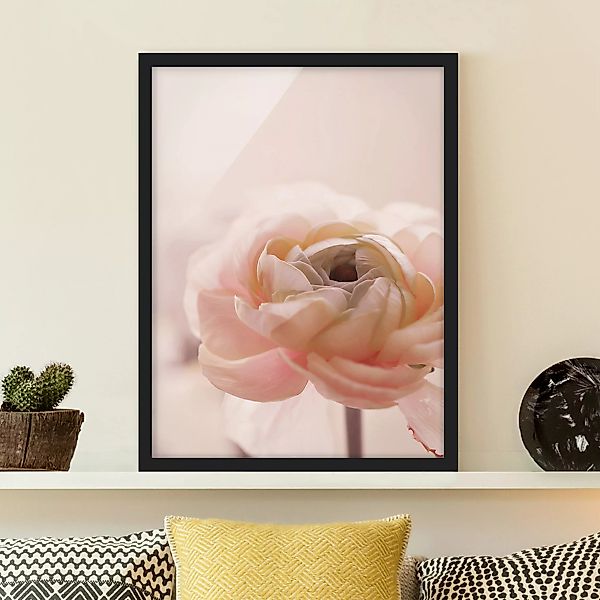 Bild mit Rahmen Rosa Blüte im Fokus günstig online kaufen