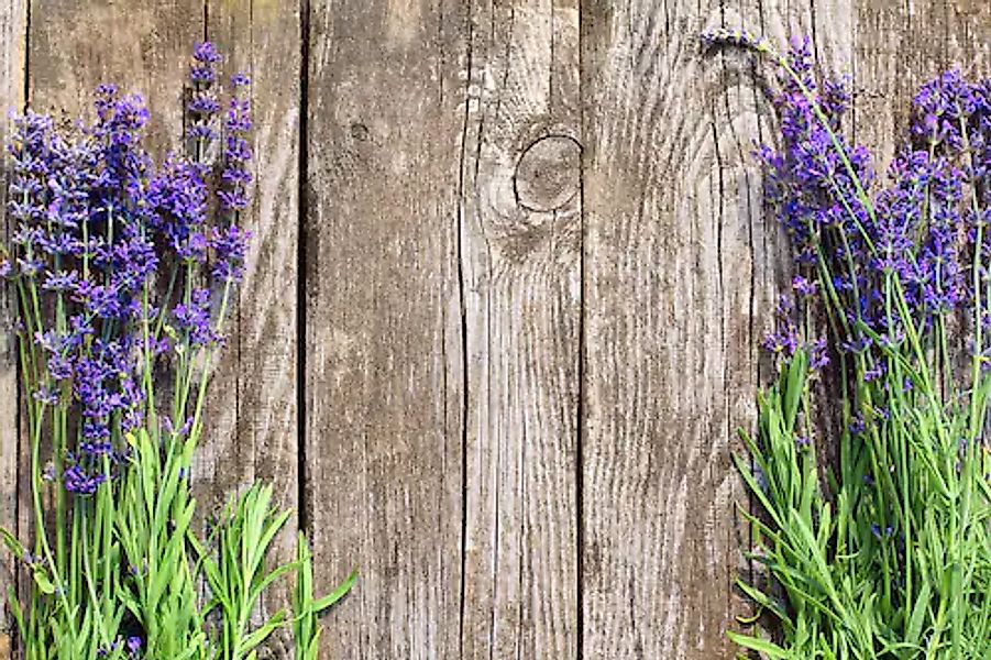 Papermoon Fototapete »Blumen an Holzwand« günstig online kaufen