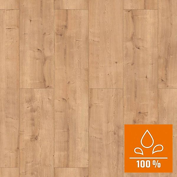 Classen XL Laminat 8 mm Wasserfest Eiche Beige günstig online kaufen
