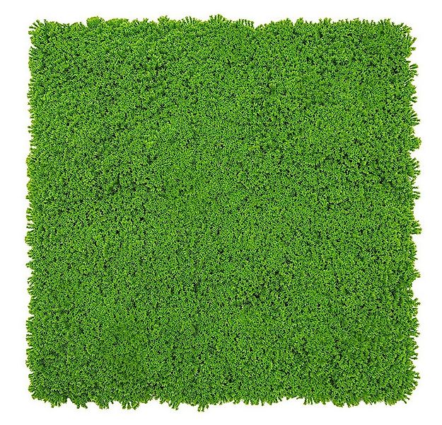 JANGAL 3D Wandpaneel Modular Wall Akustikpaneel, Die Holz- und Steinoberflä günstig online kaufen