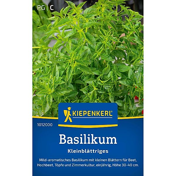 Kiepenkerl Basilikum Feinblättrig einjährig günstig online kaufen