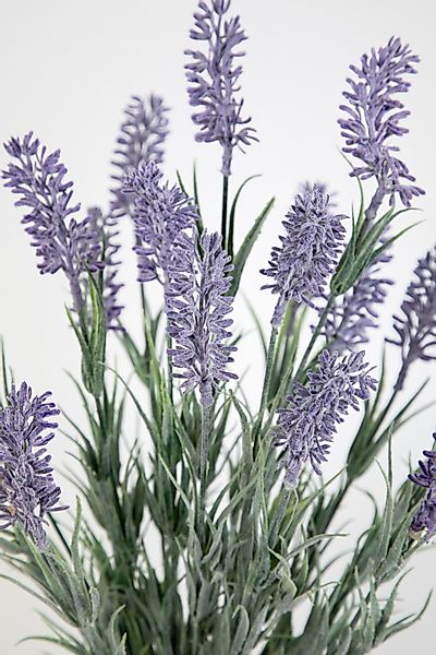Kunstblume Künstlicher Lavendelbusch 54cm im Topf günstig online kaufen